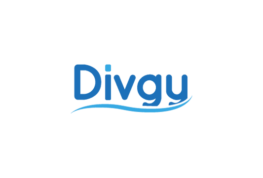 Divgy.com